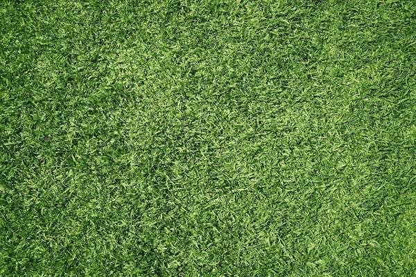 Close-up view of a well-manicured, lush green grass lawn by Maricopa Turf Pros, showing the detailed texture of the blades. The grass appears evenly cut and healthy, creating a vibrant and dense green surface that provides a safe area for pets. Contact us today for a free quote!